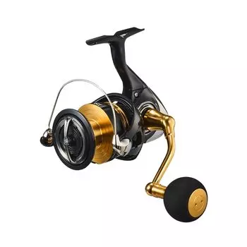 DAIWA Shore Jigging спиннинговая катушка 23 Regalis LT6000D-H чёрный