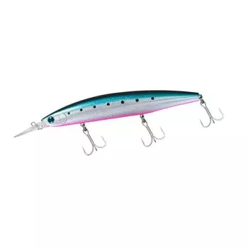 DAIWA Shoreline Shiner Z Set Upper 145S-DR