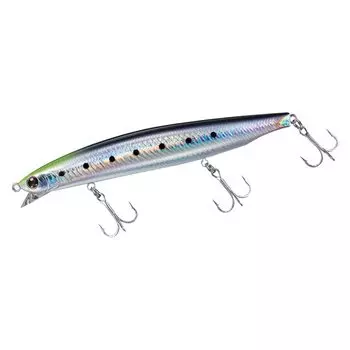 DAIWA Shoreline Shiner Z Vertis R R125F-SSR