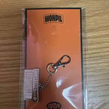 Day6 Instrument Keyring Wonpil
