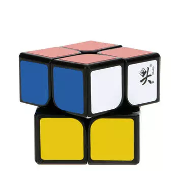 Dayan Zhanchi 2*2 Magic Cube Speed Cubo Пластиковый куб-головоломка Черный 50 мм