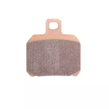 Daytona Motorcycle Brake Pad Hyper Sintered Pad Metal Ninja H2 Carbon M1200 Hypermotard Monster 796ABS Rear 72438 Thread 112 (Sintered Pad) (19-21)