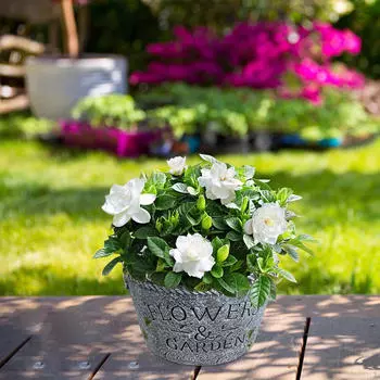 Decorative Flower Pot Plant Simple Rustic Modern Container Flowerpot for Windowsill