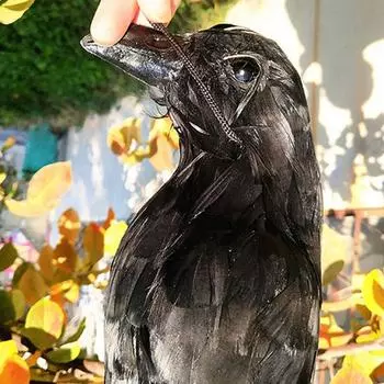 Декор на Хэллоуин, имитация вороны, птица, форма, животные, украшения, реалистичные подвесные мертвые вороны, приманка, реквизит, украшение, ворона, реквизит, декор чёрный