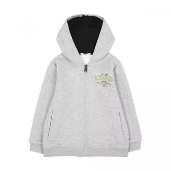 Детская кофта Hazzys с капюшоном и застежкой-молнией, серая Huf11jd11m My 110