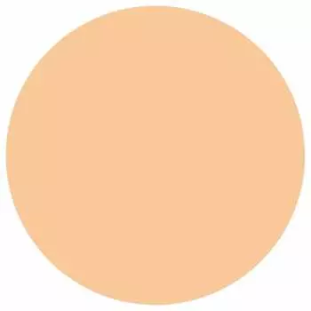 DHC Medicated PW Powder Foundation Refill [SPF43/PA+++] Натуральная охра 02