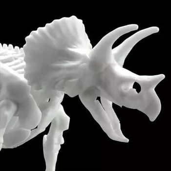 Dinosaur Model Kit Rymax Skeleton Triceratops, Korean popular bandai