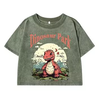 Dinosaur Park Cartoon Print Women Washed Short T Shirts Summer Fashion T Shirts Airy O-Neck Tee Shirts Soft Oversize Clothes S