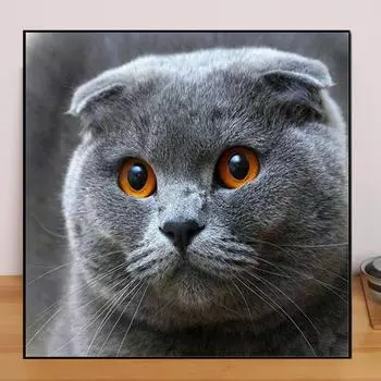 DIY алмазная живопись синий кот набор для вышивки крестом мозаика искусство алмазная живопись полный круг/квадратный алмаз украшение дома Round 25x25cm