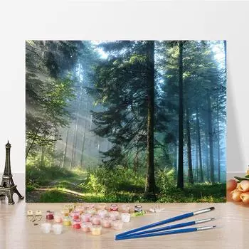 DIY краска по номерам набор для рисования маслом холст DIY картина маслом по номерам настенные художественные украшения для дома подарок искусство и хобби 40x50cm no frame