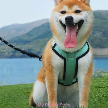 Dog Chest and Back Traction Rope Reflective Stitches Dog Cat Large Dogs Walking Dog Rope Kitten Chest Strap Dogs Rope S