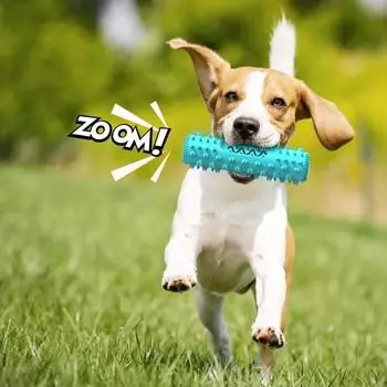 Dog Molar Toothbrush Toys Chew Cleaning Teeth Safe Puppy Bite Resistant Dental Care Soft Bone Game Pet Cleaning Toy Supplies зелёный