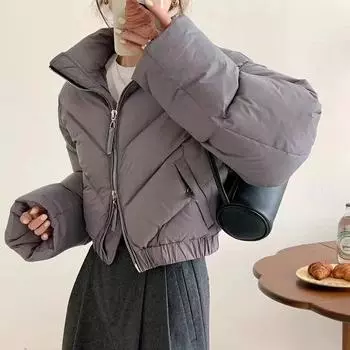 Dongdaemun short stand-up collar down jacket for women s winter 2024 new fashion small foreign style thickened bread jacket S серый