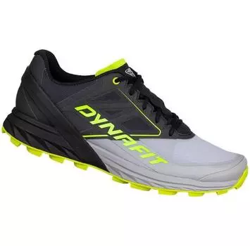 Dynafit Alpine кроссовки трейловые EU 41