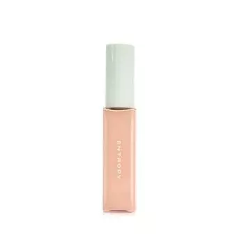 ENTROPY Organza Fit Spatual Foundation 40 г P000DXSQ - 19.8 Pale Ivory