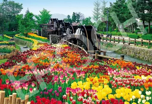 EPOCH 1053 Super Small Piece Jigsaw Puzzle Japanese Scenery Five Watermills and Flower Blooming Park Toyama x Glue Included Spatula Included Score