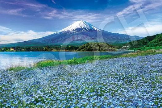 Epoch Пазл из 1000 деталей Nemophila Blooming Fuji - Yamanashi (50 х 75 см)