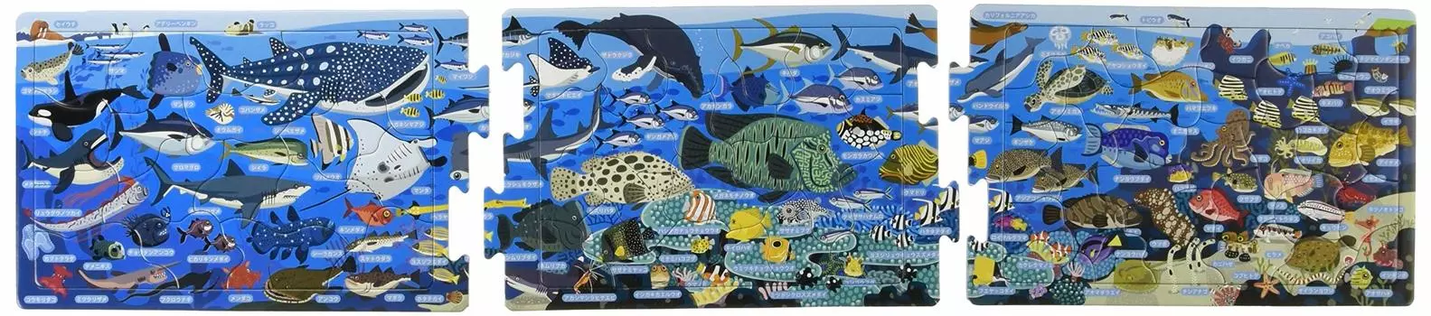 EPOCH Step Panoramic Sea Creatures pieces Step up with 3 puzzles Puzzle with mount for children 5 years old and over Toy ST Mark certified [Apollo s