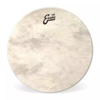 EVANS Evans drum head EQ4 Calftone Bass BD18GB4CT 18 inch []