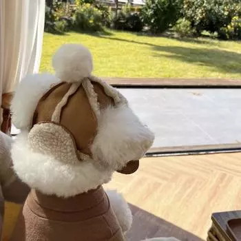 Fashionable pet hat, winter velvet warm and windproof hat, lamb hair breathable multi-purpose pet hat коричневый