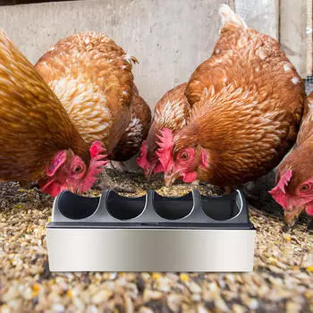 Feeder Trough Feeding Tray Lightweight Large Capacity Chick Dispenser Waterer for Pigeon 20cmx11cmx4.5cm