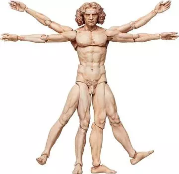 figma Table Museum Vitruvian Human Figure Painted Movable Figure Non-scale ABS&PVC