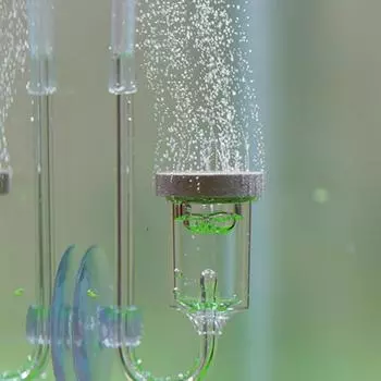 Fish Tank Transparent Acrylic CO2 Refiner Mute High Efficiency Aquarium Mini Diffuser Aquarium Accessories