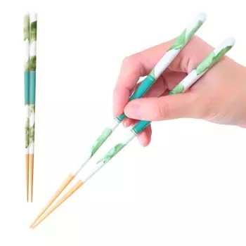 FlaColle Petal Pattern Chopsticks Chopsticks 23cm Stylish Made in Japan Dishwasher Gift [Flower Fiore] [Non-Slip Safe] (Green)