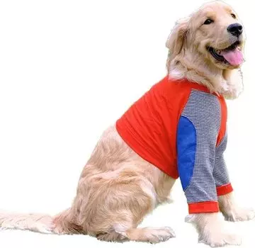 FLUFFYPET Dog Clothes for Large Pet Dog Protective Long Paw Knee Joint Injury Prevention For Elderly Dog Care Protector Large Dogs 5XL Dogs, Clothes,