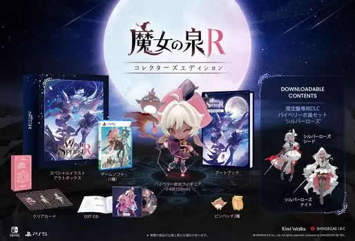 Spring R Edition PS5 Лимитированное издание специальный артбук с фигуркой оригинальный значок 10 DLC с прозрачными костюмами в комплекте Коллекционное издание Ведьмы - [Бонусная] коробка, (15