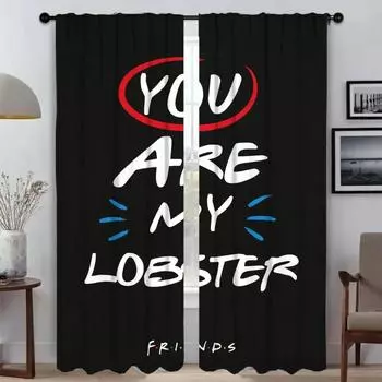 Friends Modern Living Room Curtains for Camera Halloween Decoration Partition Home Interior Curtains 2 Pieces Blackout Curtain W50xH70cmx2pcs-CL