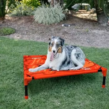 FULED Outdoor Elevated Dog Bed - Большая, средняя, маленькая кровать для домашних животных - Портативная кровать для собак для кемпинга или пляжа. С дышащей сеткой
