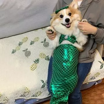 Funny Dog Cosplay Clothes Sparkly Pet Dressing Skirt Clothing Cat Mermaid Costume Kitten M