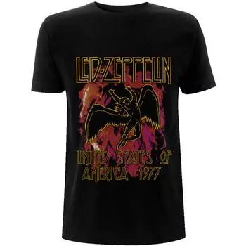 Футболка унисекс Led Zeppelin Flames S