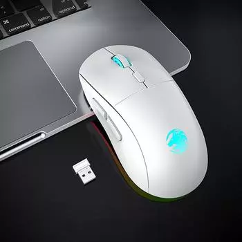 G301 Rechargeable Usb 2.4G Wireless Bluetooth Rgb Light Gaming Mouse Desktop Pc