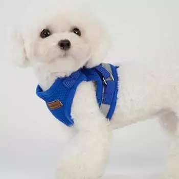G&B Mizpet Night Light Светоотражающая безопасная шлейка для собак + поводок, синий