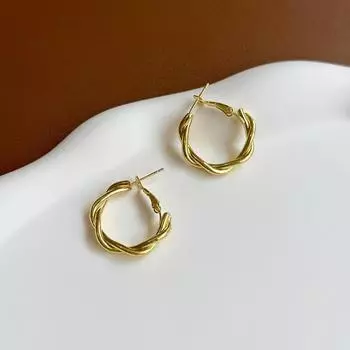 Geometric Twist Simple Metal Temperament Light Luxury High-End Design Stud Earrings Ear