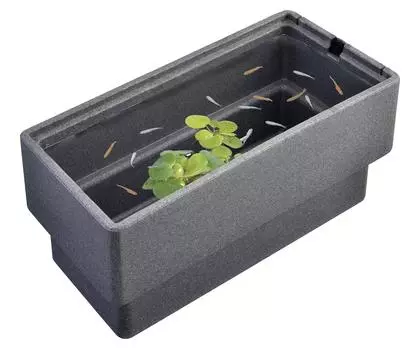 GEX Medaka Genki Comfortable breeding case L Water capacity 25L W60 x D30 x H30cm approx. Approx.