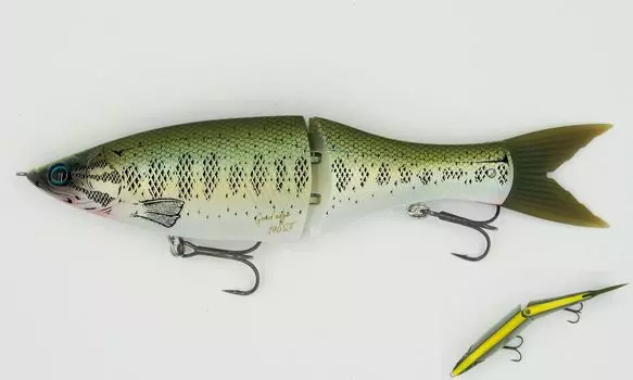 Grassroots Grand Edge 190SF GRASSROOTS 003 Sunshine Largemouth Bass N 190SF