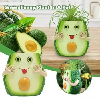 Green Funny Plant In A Pot, Interesting Home Decoration One Size