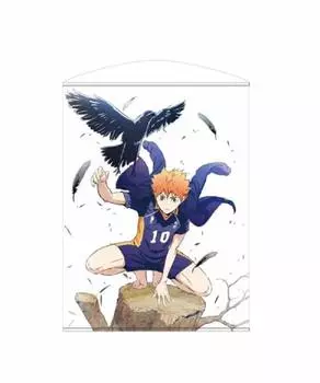 Haikyu!! TO THE TOP Shoyo Hinata 100cm Tapestry Approx. 100cm x 75cm