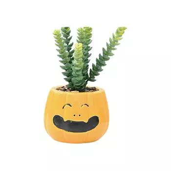 Halloween Flower Pot Decoration, Pumpkin Fake Plant Flower Pot One Size
