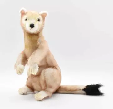 Hansa Weasel No.5729