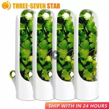 Herb Storage Container Keeps Fresh-keeping Lids Saver Greens Vegetables Fresh Premiums Clear Spice Fridge Preserver Storages