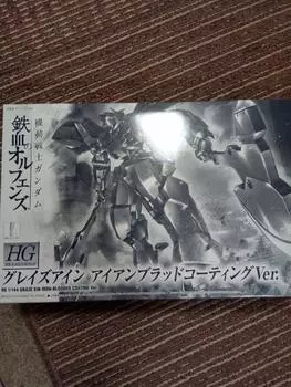 HG Glaze Ein Blood Orphans Gunpla EXPO 2016 Limited 1/144 [Iron Coating] Iron-Blooded