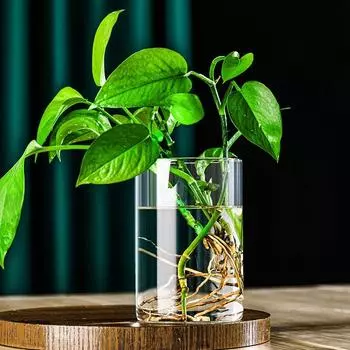 High Borosilicate Glass Hydroponic Vase High Transparency Cylindrical Fish Tank Artistic Flower Hydroponic Long Stem Plant Vase