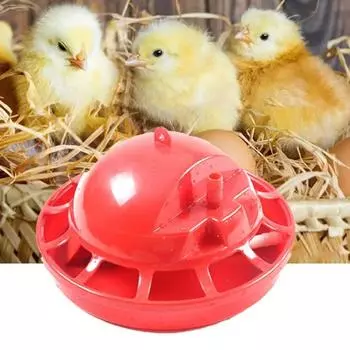 High Capacity Poultry Waterer Portable Chicken Drinking Fountains Chick Drinking Bowl Farm Animals 5