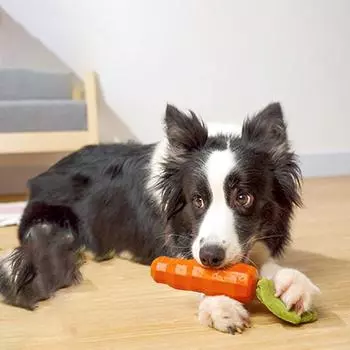 HOOPET Pet Chew Toys Bite Resistant Toy for Small Dogs Puppy Carrot Cotton Rubber Cleaning Teeth Toys Sound Toy красный