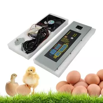 HTMC-5 DIY Мини-инкубатор Контроллер постоянной температуры Яйца Инкубационный ящик Аксессуары разноцветный