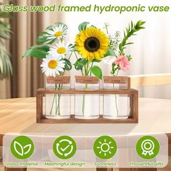 Hydroponic Plants Container Wood Frame Transparent Glass Vase Flower Pot Home Tabletop Bonsai Home Indoor Decorations Crafts